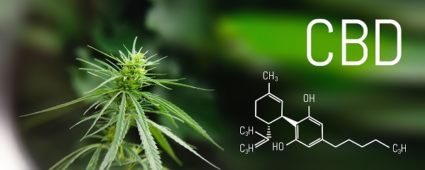 Hemp plant with CBD written across the top and chemical compound on the bottom of the image