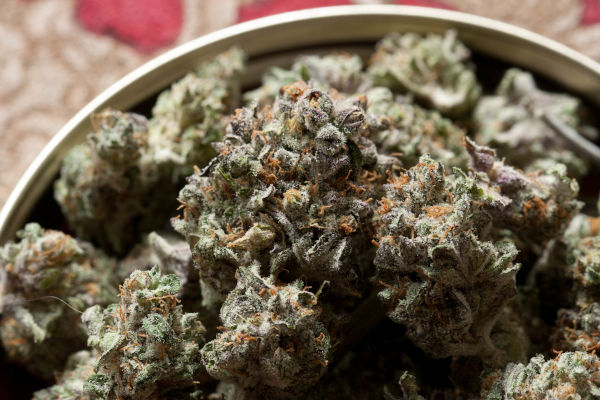 Bowl of cannabis