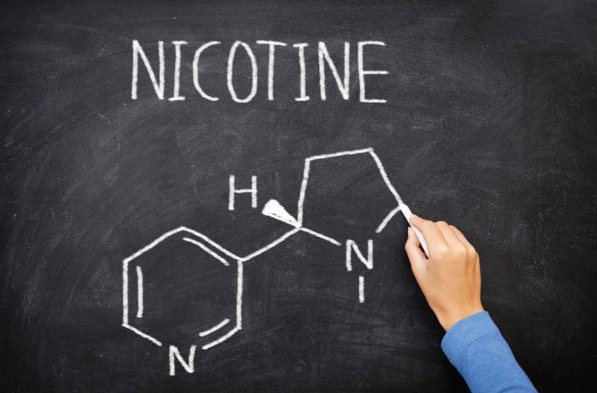  Researchers Study Nicotine’s Protection Against Covid-19