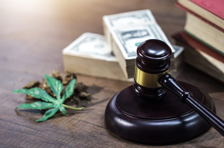  Court: No Confusion in ‘Raw’ Cannabis Trademark Case