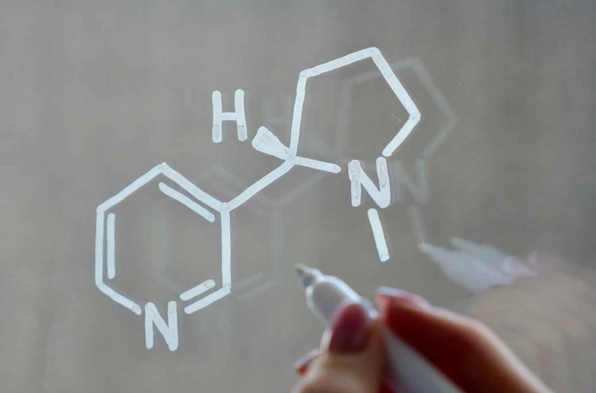  Study Claims Freebase Nicotine Safer than Salts