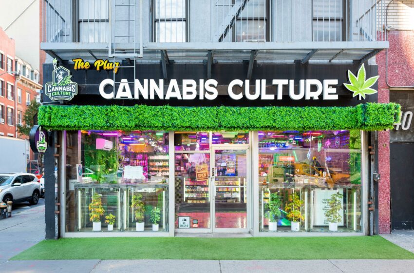  New York Opens State Cannabis Licensing to Public