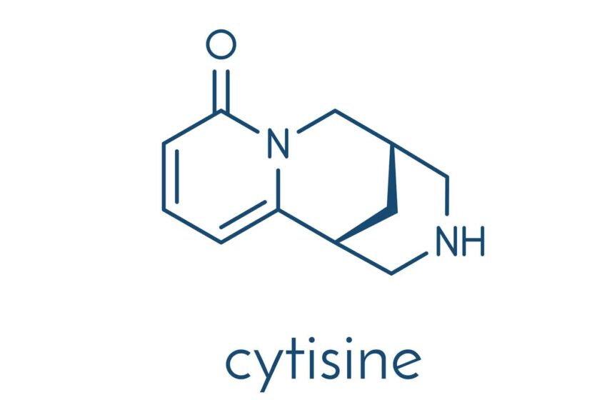  Study Finds Cytisine More Effective than NRTs